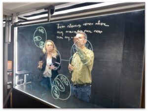 <br />
<b>Warning</b>:  Undefined variable $section1_title in <b>/home/promoteach/public_html/wp-content/themes/promotech/parts/sections/content-section.php</b> on line <b>19</b><br />
